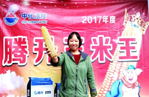 武隆區白馬鎮“2017‘騰升’玉米王”的張小容.jpg