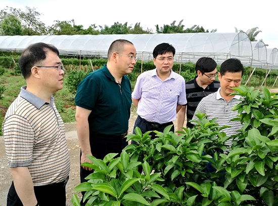 中化化肥副總經理、中化涪陵董事長李仰景到廣西市場考察